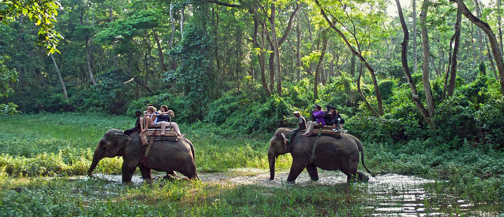 Elephant riding In Chitwan National Park