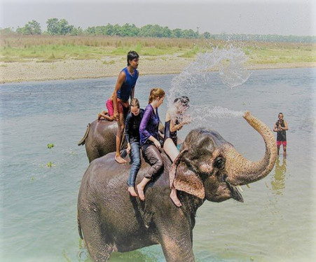 Chitwan Jungle Safari - 2 Nights 3 Days Safari Package-3